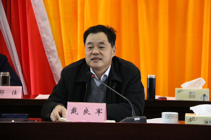 集團黨委委員、副總經(jīng)理、總工程師戴良軍發(fā)表講話